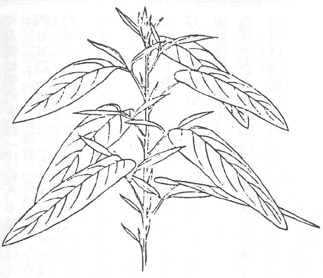 ãã®ç»åã«ã¯ alt 屿§ãæå®ããã¦ãããããã¡ã¤ã«å㯠èè.png ã§ã